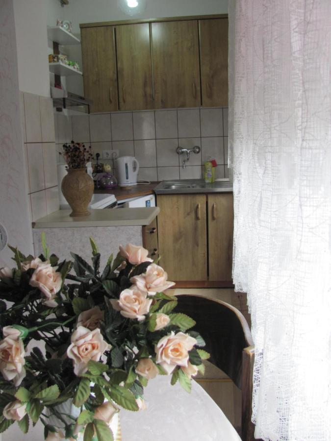 Apartment Safir - Free Parking Сараєво Екстер'єр фото